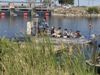 Airboat Ride