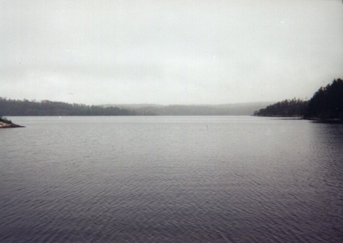 Misty Lake