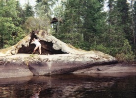 Tree Root Cave